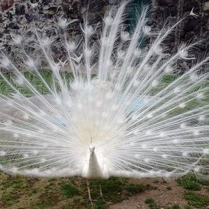 Meet your Posher, Marysol